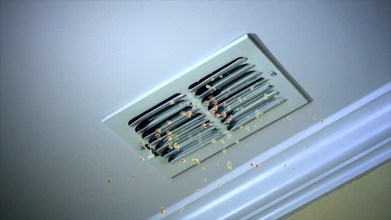 Best Air Duct Cleaning Company Near Me  in New Rockford, ND